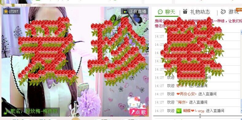 观花.赏月的图片