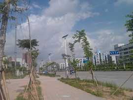 大亚湾之天空2014主播照片