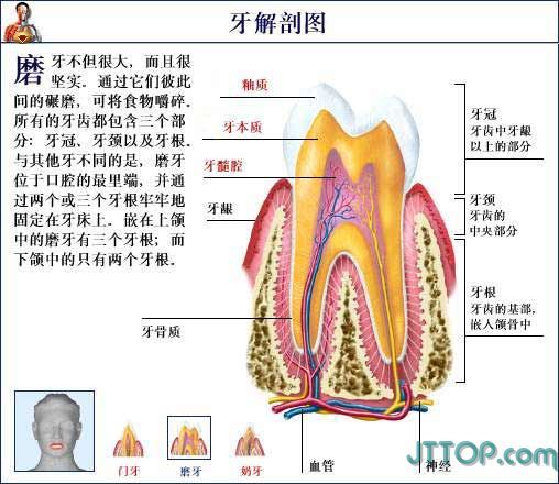 石头1126的主播照片