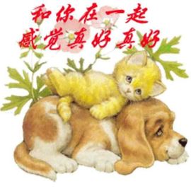 哥想你的365天！主播照片