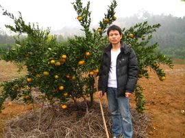 纹烙---标记主播照片