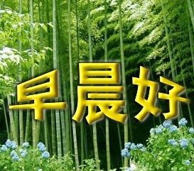 爱你一万年！哈哈！的主播照片