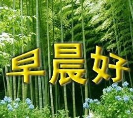 爱你一万年！哈哈！主播照片