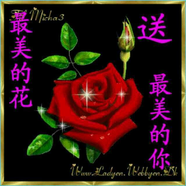 静等缘分x的主播照片