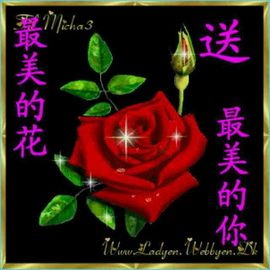 静等缘分x主播照片