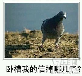 挂机机器人主播照片