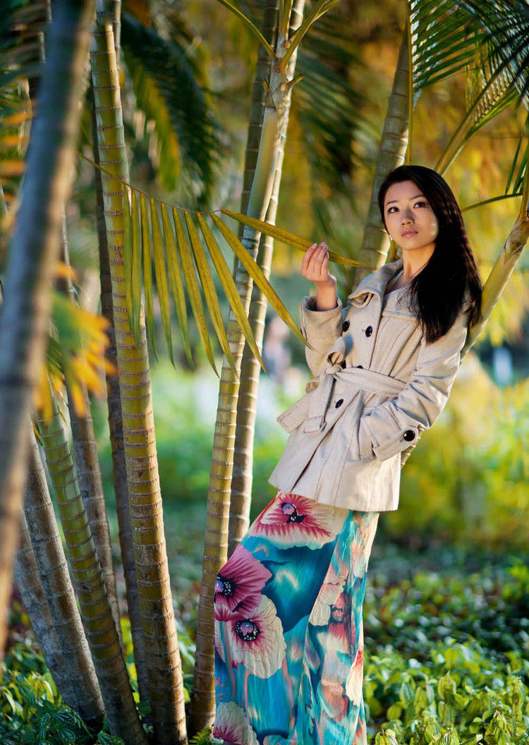 风中的风铃的图片