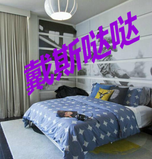 戴斯哒哒的主播照片