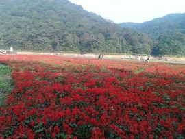 欢迎光临个人演唱会主播照片