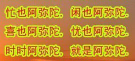 乐发夕照主播照片