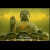 劳士alan