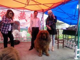 劳士alan主播照片