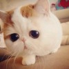 ☞刘少♥♥✘✘☜