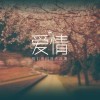 抬头，那曙光