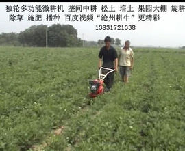 耕牛园林机械有限公司主播照片