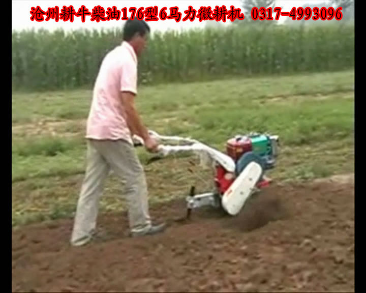 耕牛园林机械有限公司的主播照片