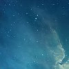 群龙无首v