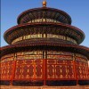 龙ho海报