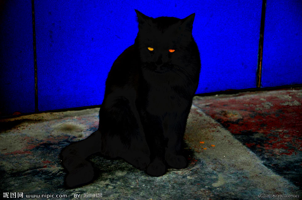 挑逗猫的老鼠主播照片