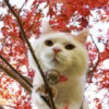 一生无虑！