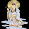 ☜九♥恋小九☞海报