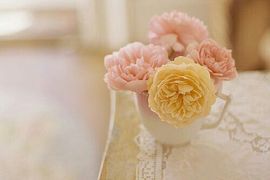 凰上上主播照片