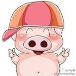 傻瓜儿