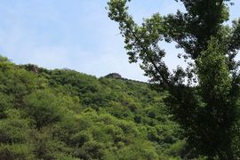 邪恶男神主播照片