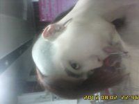 2222226的主播照片