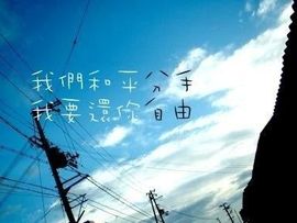 👀老貓帥到掉渣主播照片