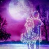 迷恋的夜f