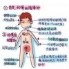 年少轻狂不2