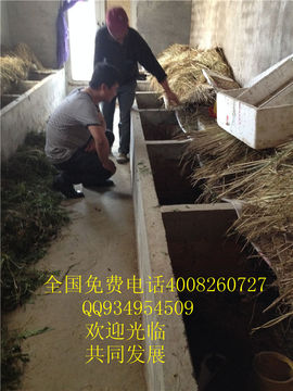 lmjyt主播照片