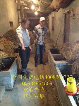 lmjyt主播照片