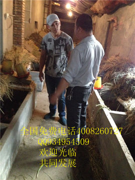 lmjyt主播照片