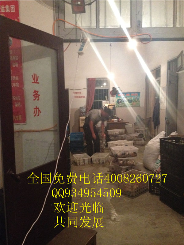lmjyt的主播照片