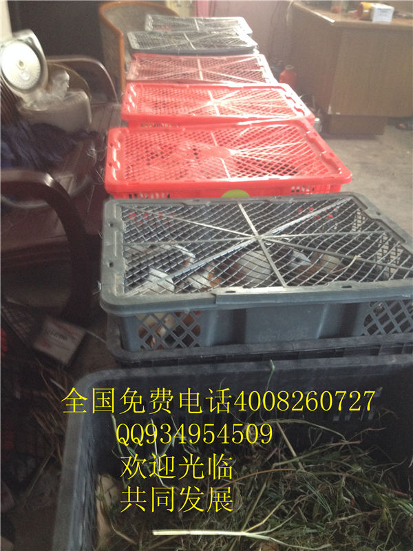 lmjyt的主播照片
