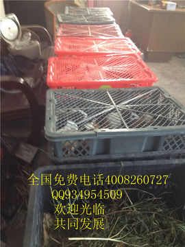 lmjyt主播照片