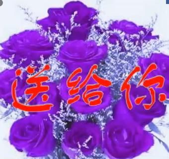 cfw会飞的鱼主播照片