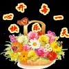渝GG75游侠海报