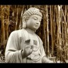 昵称违规，请重新修改