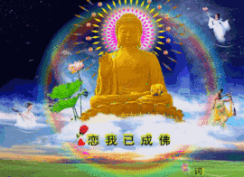 怒江雨主播照片