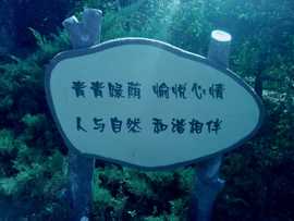 玉龙文华五度传媒主播照片