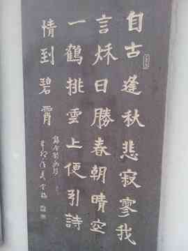 ╭ァ皇朝☀多情主播照片