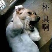 穷人伤心