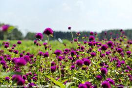 永远挂号主播照片