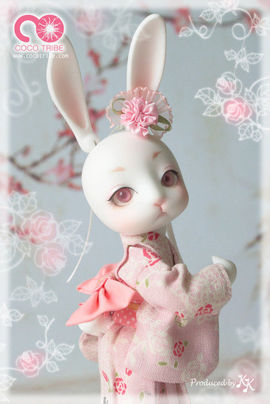 ✿灬小小小小小茉莉主播照片