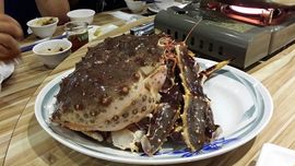 う☆ˊ酷ˊ☆*主播照片