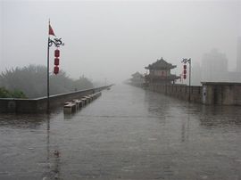 李毅勤羊杂割主播照片