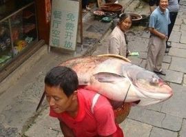 陈浩bo主播照片